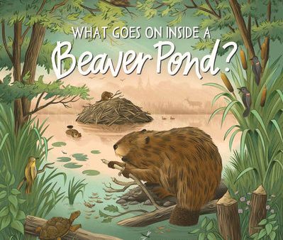 What Goes on Inside a Beaver Pond? For Cheap