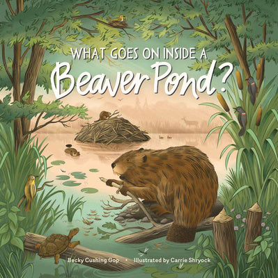 What Goes on Inside a Beaver Pond? For Cheap