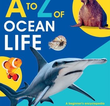 to Z of Ocean Life, A Online Hot Sale