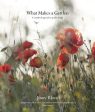 What Makes a Garden: A Considered Approach to Garden Design For Sale