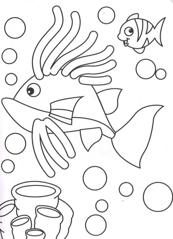 Daisy The Dolphin Colouring Book Hot on Sale