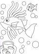 Daisy The Dolphin Colouring Book Hot on Sale