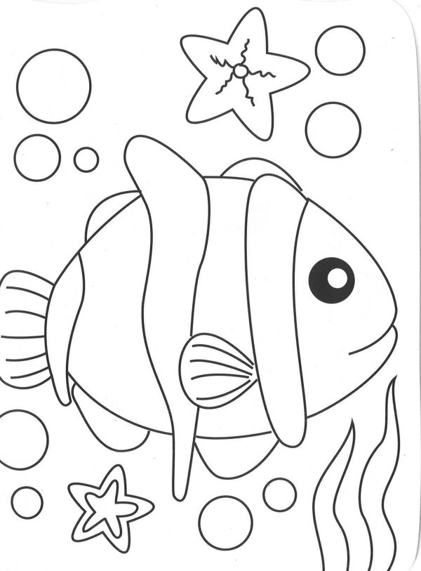 Daisy The Dolphin Colouring Book Hot on Sale