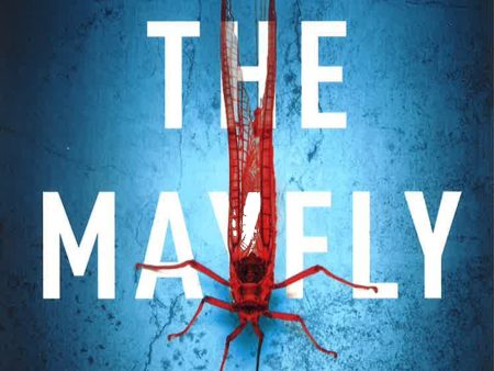 The Mayfly Discount